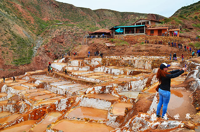 moray-marasD7 130.JPG moray-marasD7 130.JPG