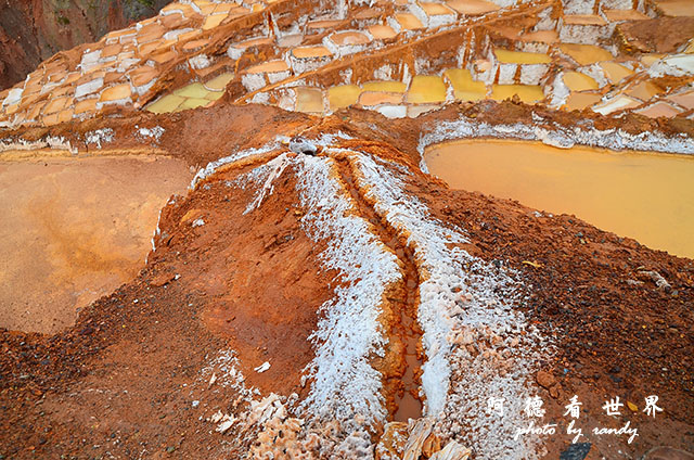 moray-marasD7 139.JPG moray-marasD7 139.JPG