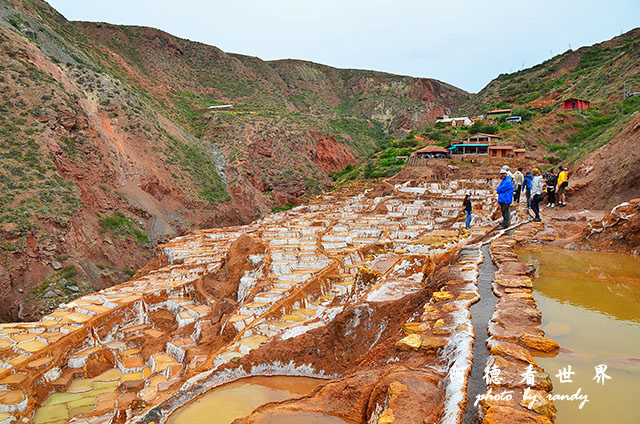 moray-marasD7 144.JPG moray-marasD7 144.JPG