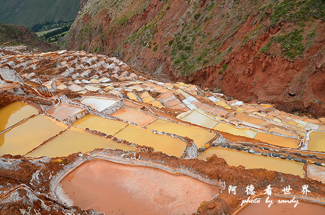 moray-marasD7 148.JPG moray-marasD7 148.JPG