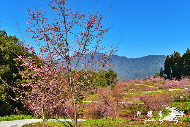 福壽山農場D810 038.JPG