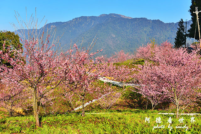 福壽山農場D810 046.JPG