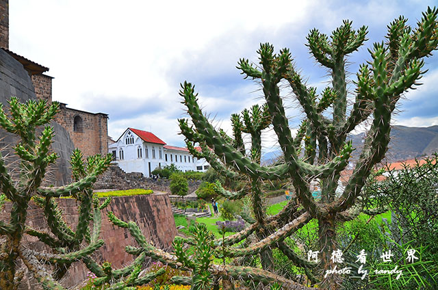 nazca1D7 022.JPG nazca1D7 022.JPG