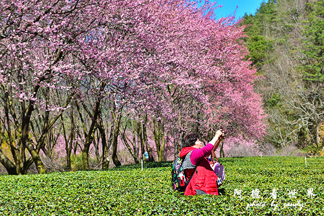 武陵俺0302D810 087.JPG