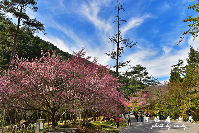 武陵俺0302D810 145.JPG