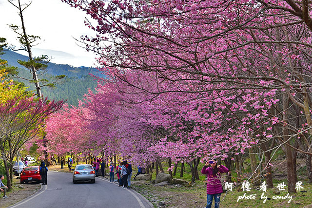 武陵俺0302D810 168.JPG