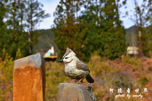 武陵農場0304D810 006.JPG