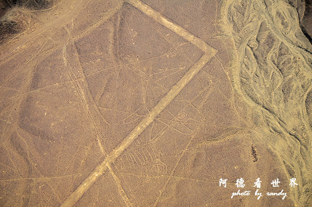 nazca1D7 177.JPG nazca1D7 177.JPG