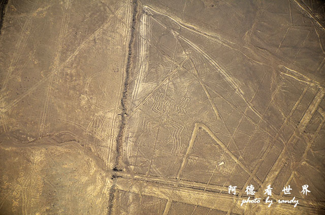 nazca1D7 261.JPG