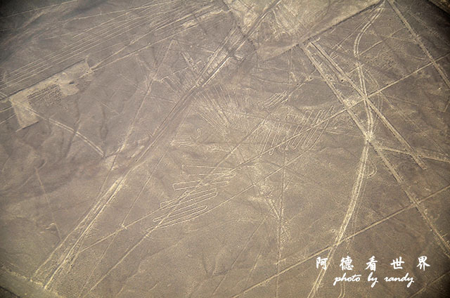 nazca1D7 269.JPG