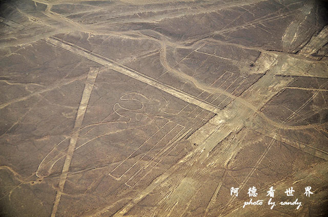 nazca1D7 292.JPG