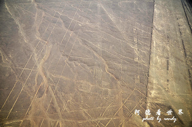 nazca1D7 284.JPG