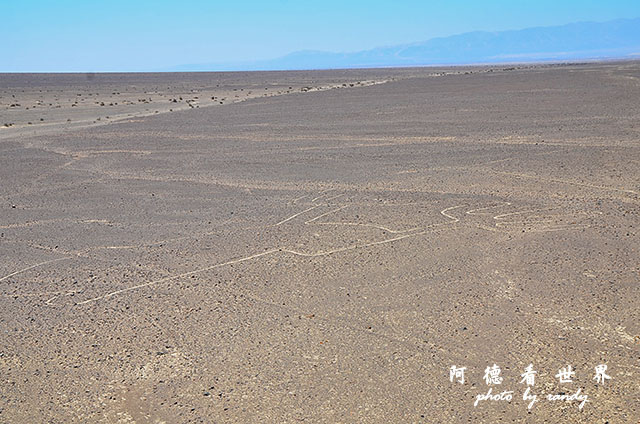 nazca2D7 025.JPG