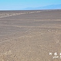 nazca2D7 025.JPG