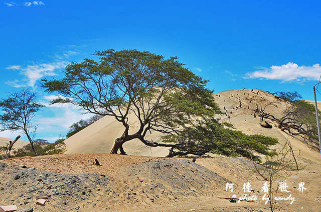 huacachinaD7 019.JPG huacachinaD7 019.JPG