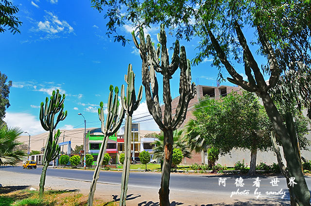 huacachinaD7 004.JPG huacachinaD7 004.JPG