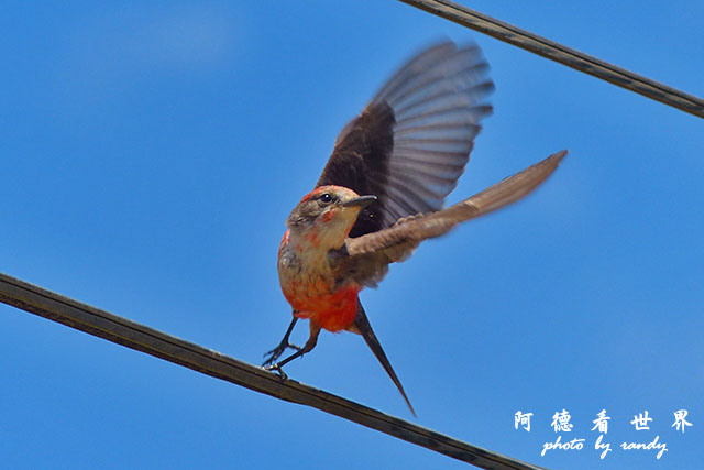 huacachinaFZ (11).JPG huacachinaFZ (11).JPG