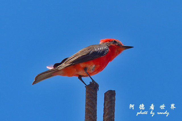 huacachinaFZ (32).JPG huacachinaFZ (32).JPG