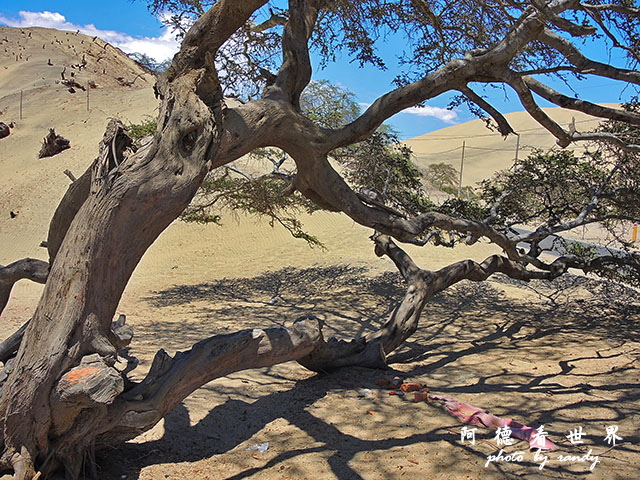 huacachinaP77 034.JPG huacachinaP77 034.JPG