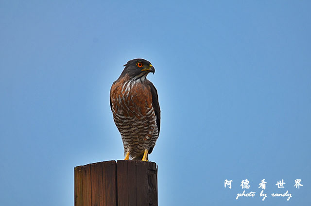 金山青年活動中心0301D7000 017.JPG