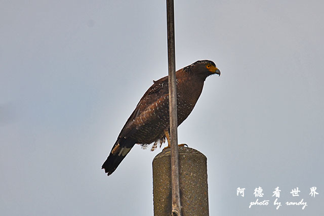 金山青年活動中心0301D7000 013.JPG