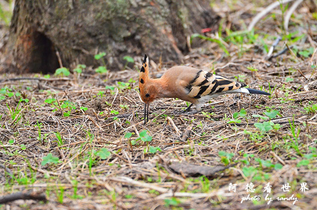 金山青年活動中心0301D7000 102.JPG