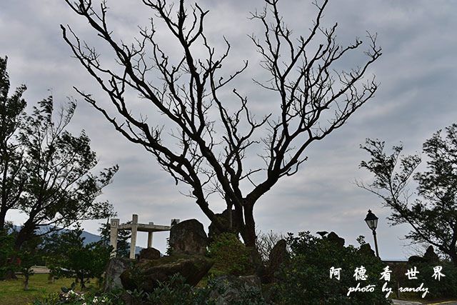 金山青年活動中心俺0301D810 007.JPG