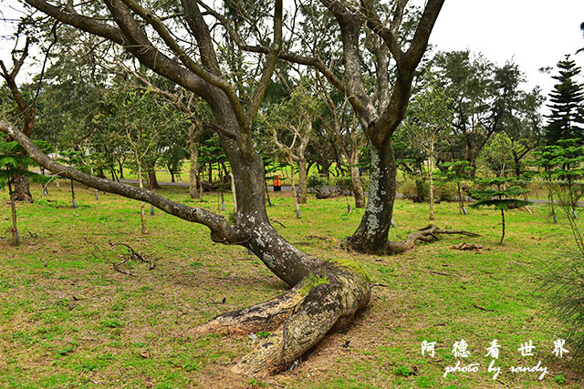 金山青年活動中心俺0301D810 041.JPG