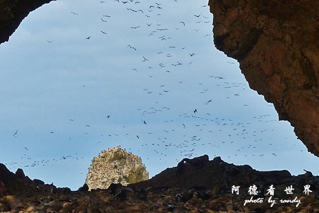 paracasFZ (34).JPG paracasFZ (34).JPG