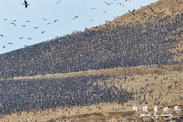 paracasFZ (98).JPG paracasFZ (98).JPG