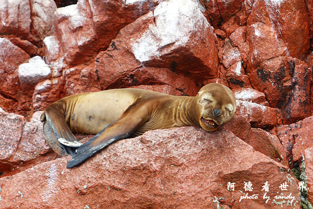 paracasFZ (154).JPG paracasFZ (154).JPG