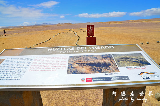 paracasD7 159.JPG paracasD7 159.JPG