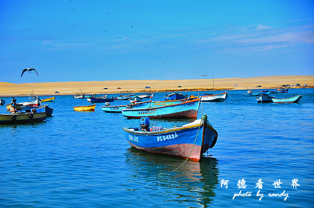 paracasD7 189.JPG paracasD7 189.JPG