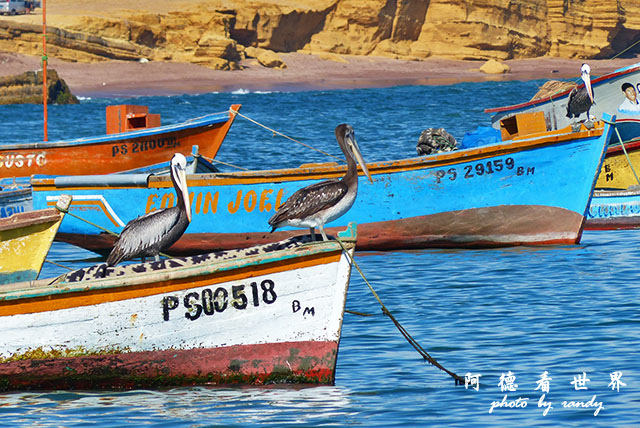 paracasFZ (387).JPG paracasFZ (387).JPG