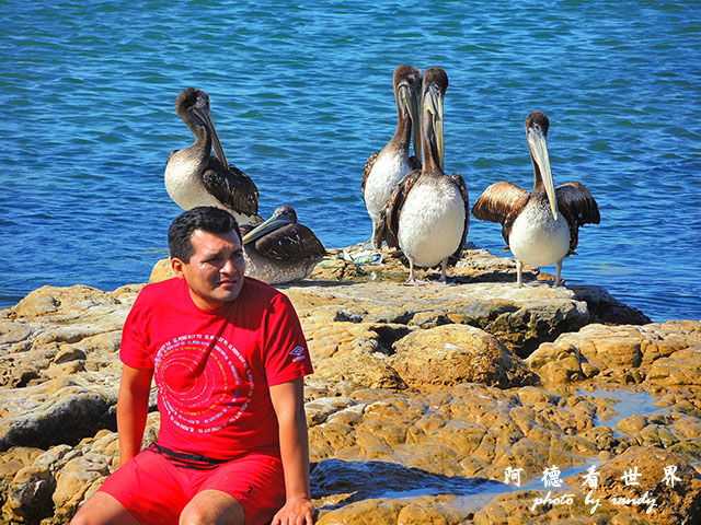 paracasP77 591.JPG paracasP77 591.JPG