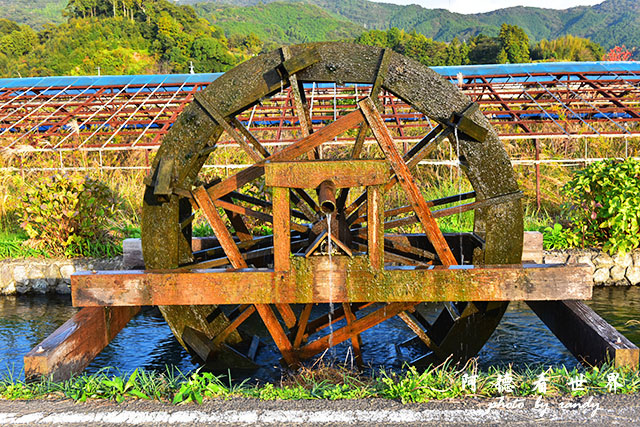 四萬十川D810 196.JPG 四萬十川D810 196.JPG