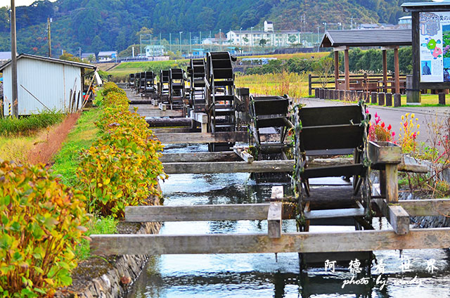 四萬十川D7000 069.JPG 四萬十川D7000 069.JPG