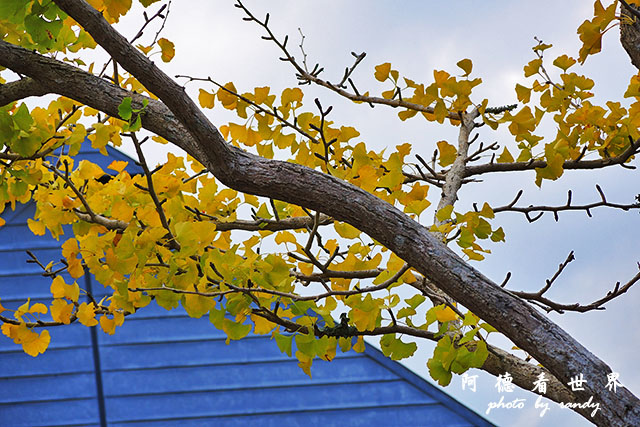 四萬十川P7700 130.JPG 四萬十川P7700 130.JPG