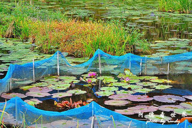 四萬十川P7700 143.JPG 四萬十川P7700 143.JPG