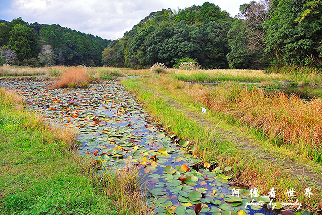 四萬十川P7700 140.JPG 四萬十川P7700 140.JPG