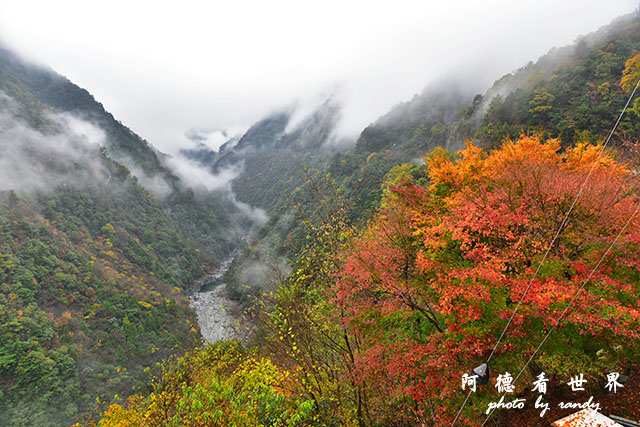 大步危-祖谷D810 175.JPG 大步危-祖谷D810 175.JPG