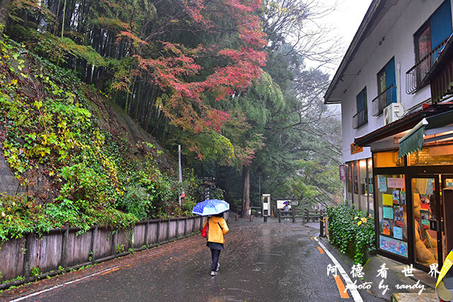 大步危-祖谷D810 178.JPG 大步危-祖谷D810 178.JPG