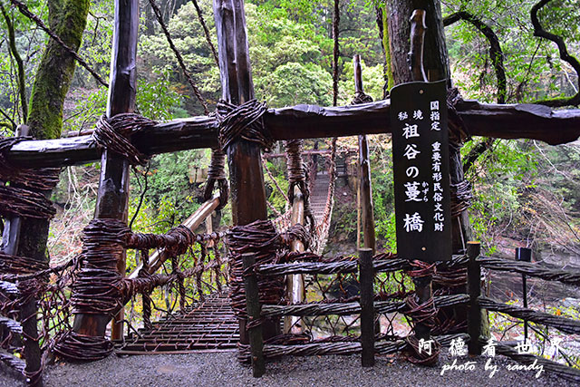 大步危-祖谷D810 183.JPG 大步危-祖谷D810 183.JPG