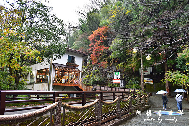 大步危-祖谷D810 186.JPG 大步危-祖谷D810 186.JPG