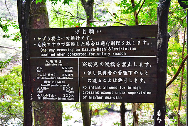 大步危-祖谷D810 190.JPG 大步危-祖谷D810 190.JPG