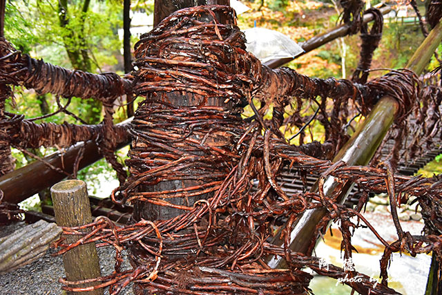 大步危-祖谷D810 193.JPG 大步危-祖谷D810 193.JPG