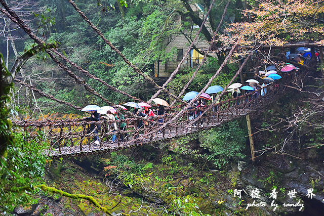 大步危-祖谷D810 216.JPG 大步危-祖谷D810 216.JPG