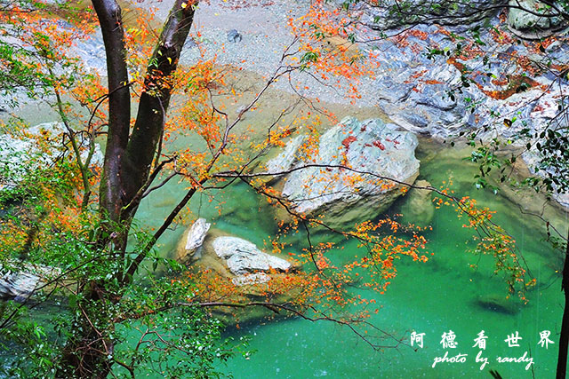 大步危-祖谷P7700 148.JPG 大步危-祖谷P7700 148.JPG