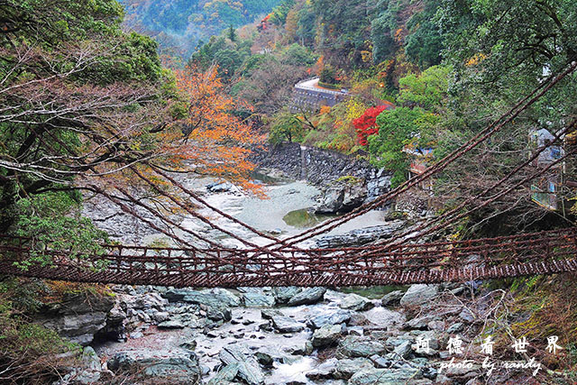 琴平-高松P7700 004.JPG 琴平-高松P7700 004.JPG