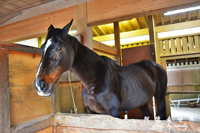 琴平-高松D810 149.JPG 琴平-高松D810 149.JPG